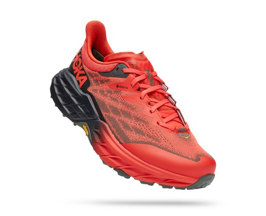 HOKA SPEEDGOAT 5 GTX FIESTA/THYME