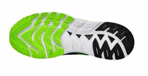 361 Meraki Hombre - Gecko