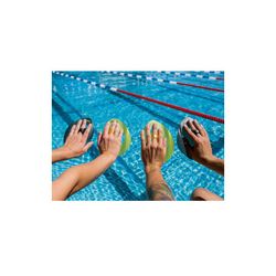 FINIS PALAS ISO