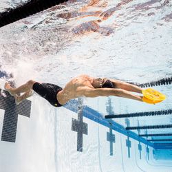 FINIS Palas Manta