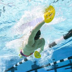 FINIS Palas Manta