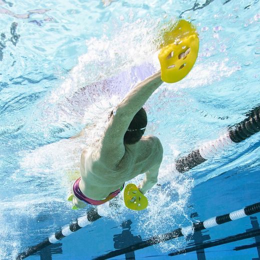 FINIS Palas Manta