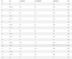 Hoka Clifton 7 Hombre - Fiesta